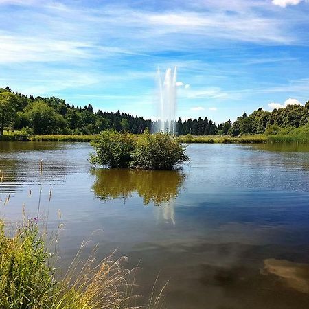 Ferienappartement Balbiani Hahnenklee-Harz Γκόσλαρ Εξωτερικό φωτογραφία