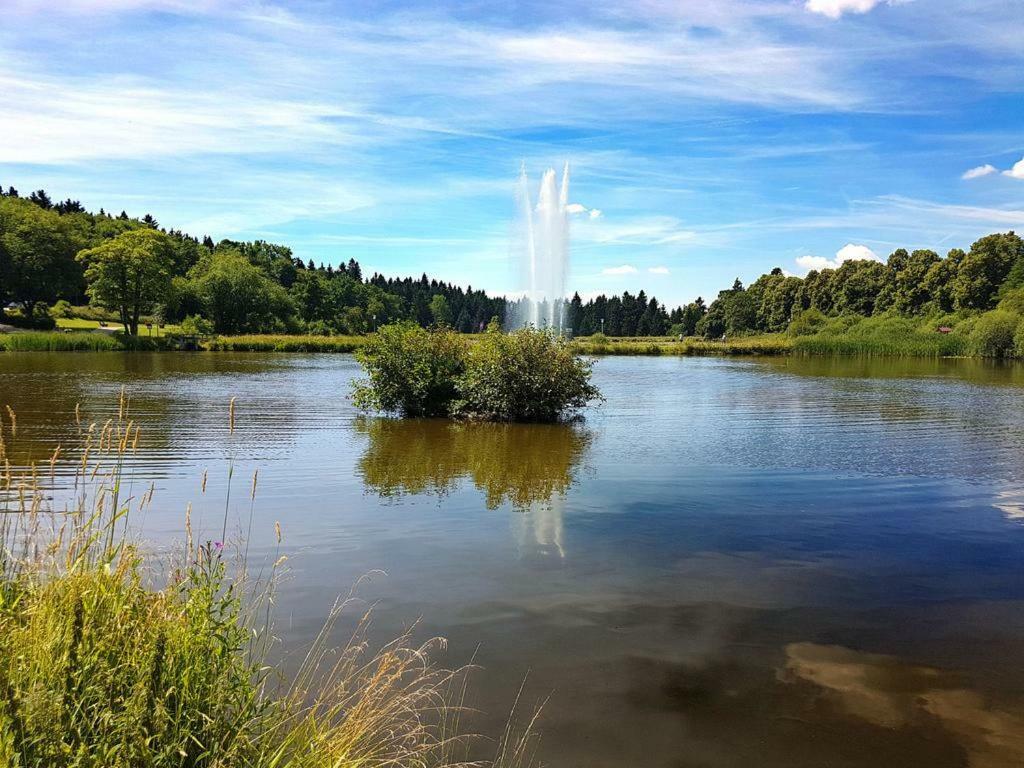 Ferienappartement Balbiani Hahnenklee-Harz Γκόσλαρ Εξωτερικό φωτογραφία